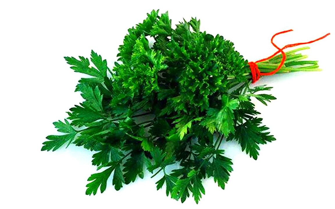 cilantro