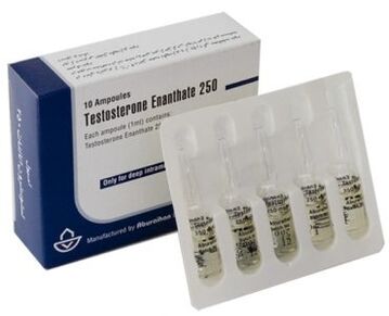 Estimuladores hormonales para la potencia masculina