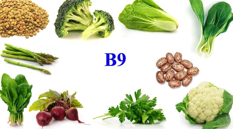 Vitamina B9 en productos de potencia